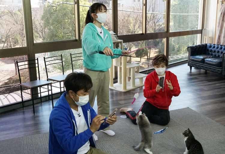 太川陽介が猫の魅力にどっぷりハマる 前日はほとんど寝られない バス旅シリーズの本音も告白 ネ テレ東プラス