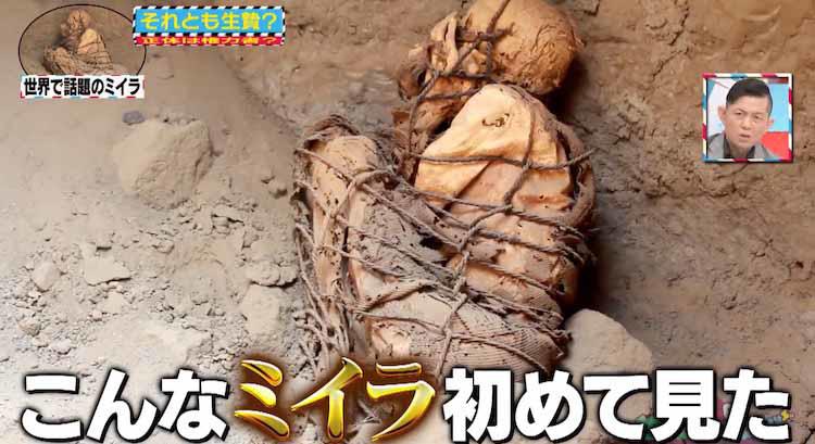 縛られた「泣き崩れるミイラ」世界初のX線調査でわかった死因は