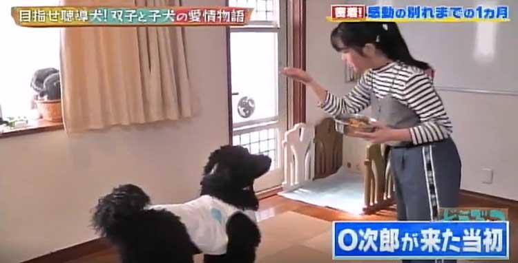 もっと一緒にいたかった...聴導犬候補生ワンちゃんと双子姉妹のお別れ