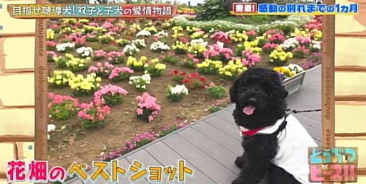 dp_20200514_13.jpg