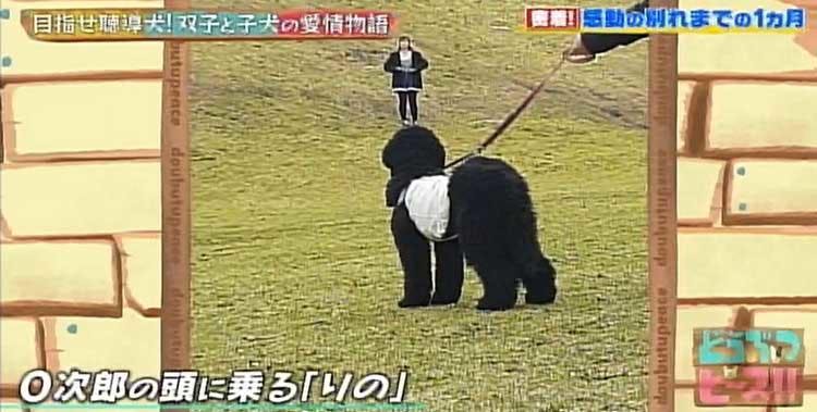 dp_20200514_14.jpg