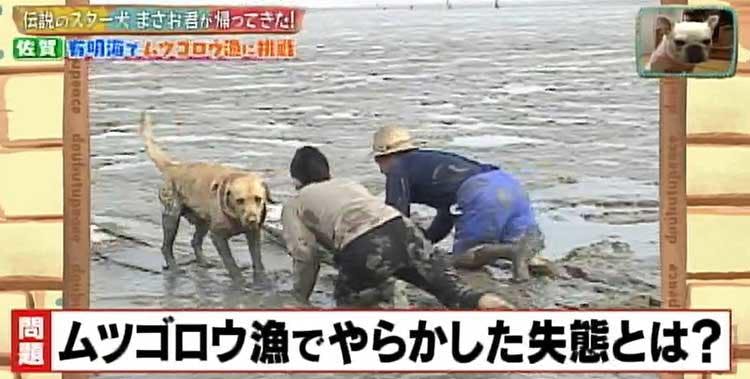 何問正解できる ポチたま の人気旅犬 まさお君の爆笑ハプニングクイズに挑戦 どうぶつピース テレ東プラス