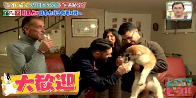 お散歩デビューは世界遺産 イタリアで暮らす秋田犬の赤ちゃんの旅立ちに密着 どうぶつピース テレ東プラス お散歩デビューは世界遺産 イタリアで暮らす秋田犬の赤ちゃんの旅立ちに密着 どうぶつピース テレ東プラス