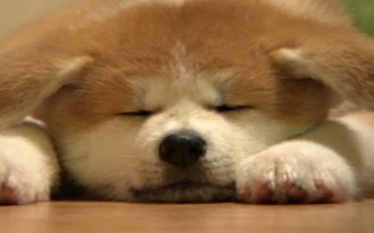 dp_20200716_thum.jpg?auto=