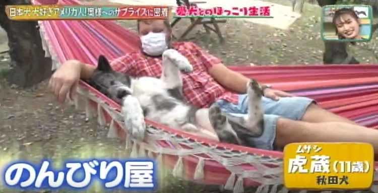 秋田犬 柴犬と暮らす日本犬大好きなアメリカ人男性が 奥様へのサプライズを どうぶつピース テレ東プラス 秋田犬 柴犬と暮らす日本犬大好きなアメリカ人男性が 奥様へのサプライズを どうぶつピース テレ東プラス