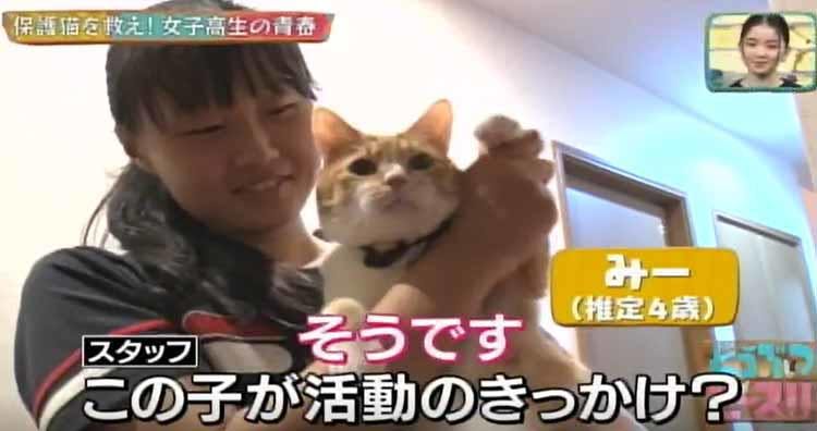 殺処分ゼロを目指して 保護猫を救う活動を続ける女子高生 どうぶつピース テレ東プラス 殺処分ゼロを目指して 保護猫を救う活動を続ける女子高生 どうぶつピース テレ東プラス