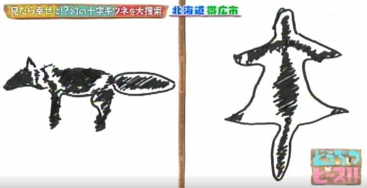 見つかる可能性は1 以下 北海道帯広で見たら幸せになれる 十字ギツネ を大捜索 どうぶつピース テレ東プラス 見つかる可能性は1 以下 北海道帯広で見たら幸せになれる 十字ギツネ を大捜索 どうぶつピース テレ東プラス