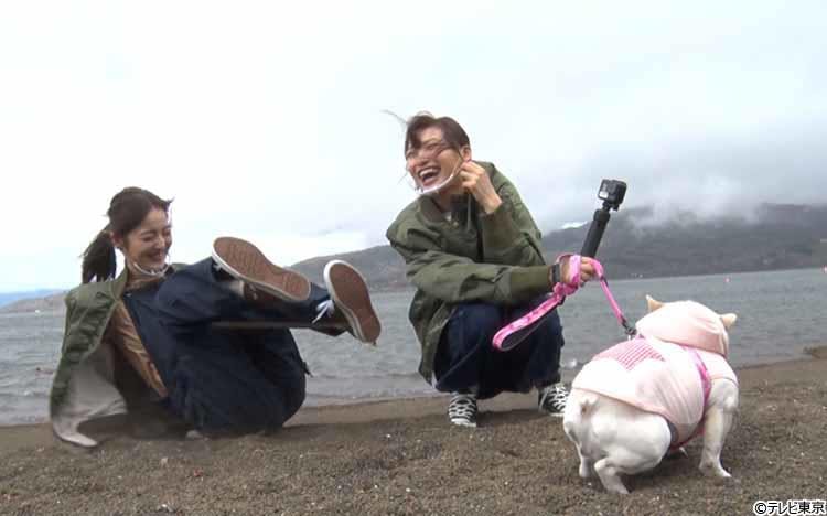 佐々木希がゲスト出演 大親友の大政絢とテレビ初共演 山中湖でペット動画を探すロケに どうぶつピース テレ東プラス 佐々木希がゲスト出演 大親友の大政絢とテレビ初共演 山中湖でペット動画を探すロケに どうぶつピース テレ東プラス