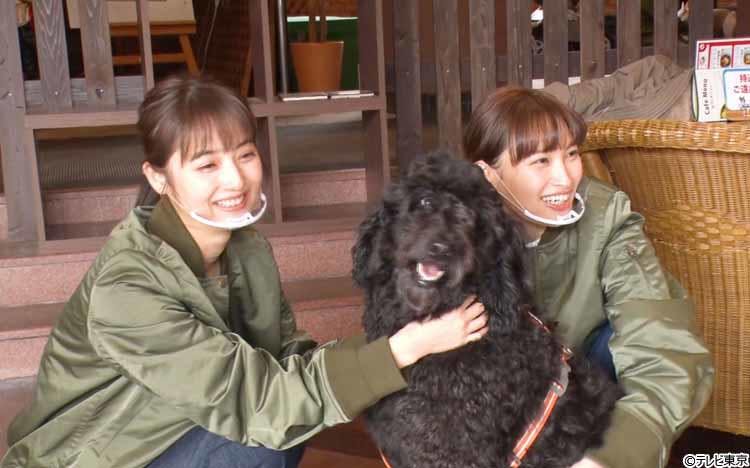佐々木希がゲスト出演 大親友の大政絢とテレビ初共演 山中湖でペット動画を探すロケに どうぶつピース テレ東プラス 佐々木希がゲスト出演 大親友の大政絢とテレビ初共演 山中湖でペット動画を探すロケに どうぶつピース テレ東プラス