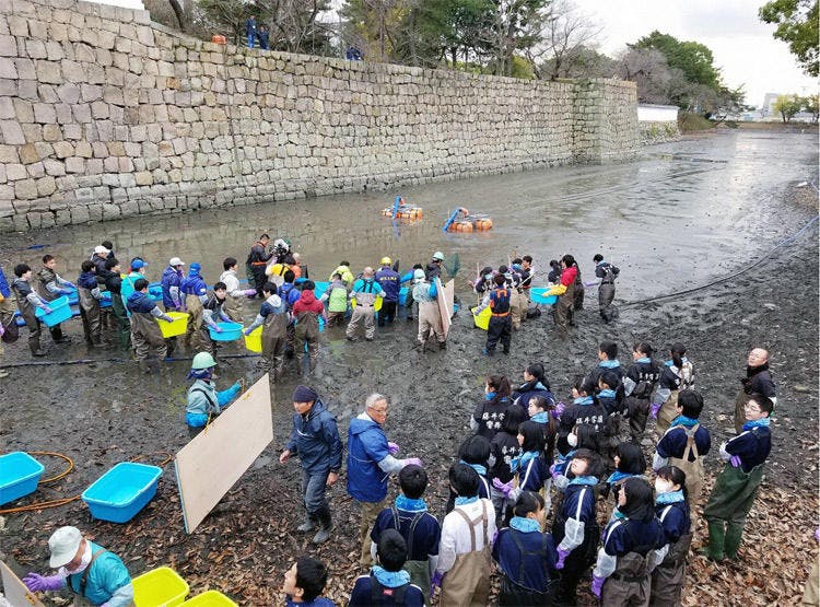 スゴイお宝出た ２大名城のお堀の水ぜんぶ抜く 緊急sos 池の水ぜんぶ抜く大作戦 テレ東プラス