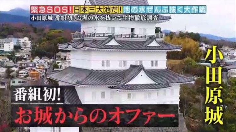スゴイお宝出た ２大名城のお堀の水ぜんぶ抜く 緊急sos 池の水ぜんぶ抜く大作戦 テレ東プラス