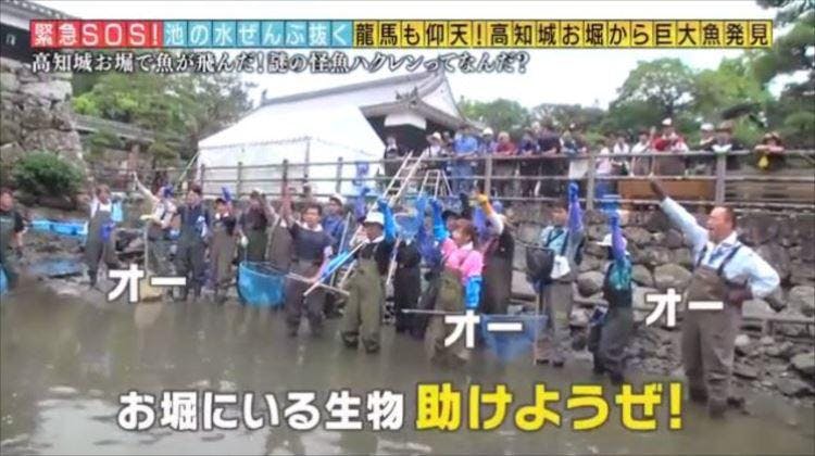 スゴイお宝出た ２大名城のお堀の水ぜんぶ抜く 緊急sos 池の水ぜんぶ抜く大作戦 テレ東プラス