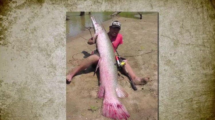 ヤバいぞ利根川 巨大な幻の怪魚捕獲に挑む1時間の死闘 テレ東プラス ヤバいぞ利根川 巨大な幻の怪魚捕獲に挑む1時間の死闘 テレ東プラス