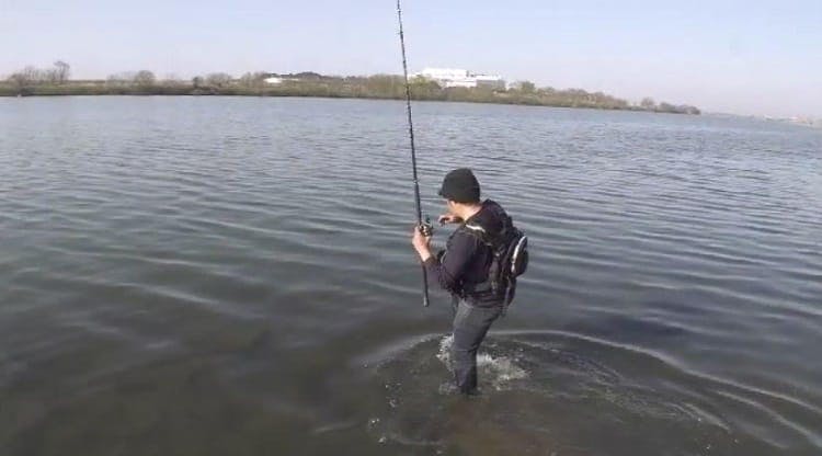 ヤバいぞ利根川 巨大な幻の怪魚捕獲に挑む1時間の死闘 テレ東プラス