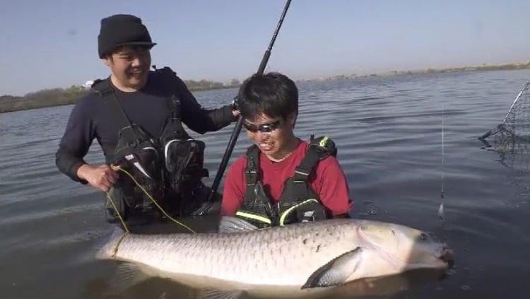 ヤバいぞ利根川 巨大な幻の怪魚捕獲に挑む1時間の死闘 テレ東プラス