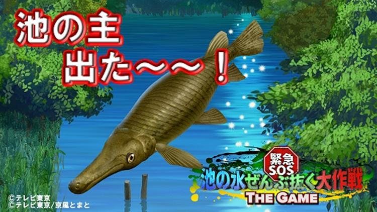 新人アナウンサーが髪を振り乱してとんでもないことに 緊急sos 池の水ぜんぶ抜く大作戦 Th テレ東プラス 新人アナウンサーが髪を振り乱してとんでもないことに 緊急sos 池の水ぜんぶ抜く大作戦 Th テレ東プラス