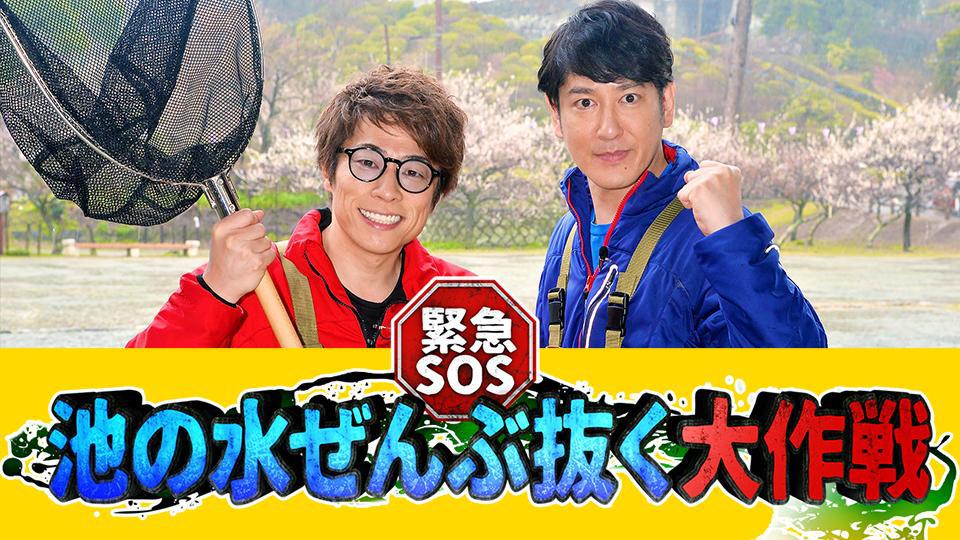 なにわ男子（関西ジャニーズJr.）藤原丈一郎、長尾謙杜が参戦