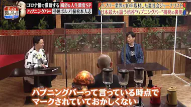 公の場での発言・インタビュー報道記録