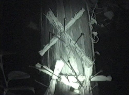 閲覧注意 最恐映像 見たな 深夜の森の肝試しで テレ東プラス 閲覧注意 最恐映像 見たな 深夜の森の肝試しで テレ東プラス