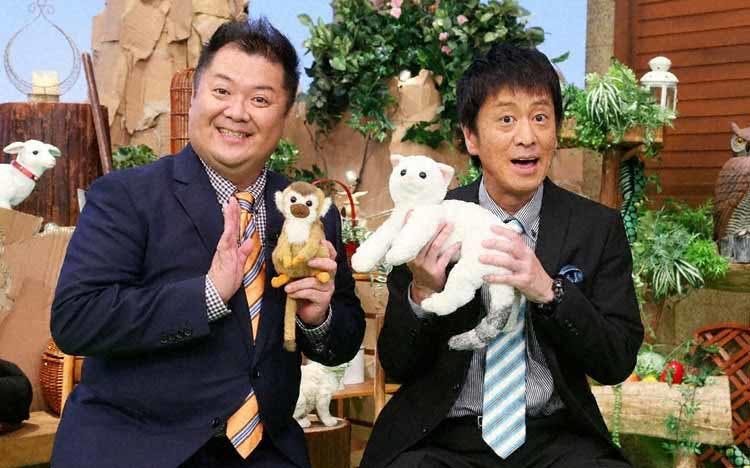 ダサいけど超かわいい おまぬけモフモフ 超キュート 激かわ赤ちゃんモフモフ 超かわいいどうぶつ達 テレ東プラス ダサいけど超かわいい おまぬけモフモフ 超キュート 激かわ赤ちゃんモフモフ 超かわいいどうぶつ達 テレ東プラス