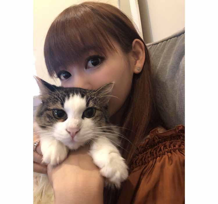 猫好き対談 岩井勇気 俺への 下等生物を見ている目 がいい 中川翔子 岩 テレ東プラス 猫好き対談 岩井勇気 俺への 下等生物を見ている目 がいい 中川翔子 岩 テレ東プラス