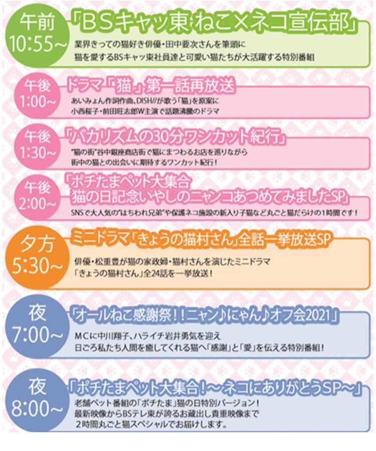 猫好き対談 岩井勇気 俺への 下等生物を見ている目 がいい 中川翔子 岩 テレ東プラス