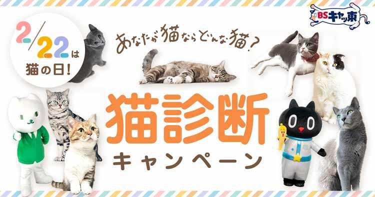 猫好き対談 岩井勇気 俺への 下等生物を見ている目 がいい 中川翔子 岩 テレ東プラス