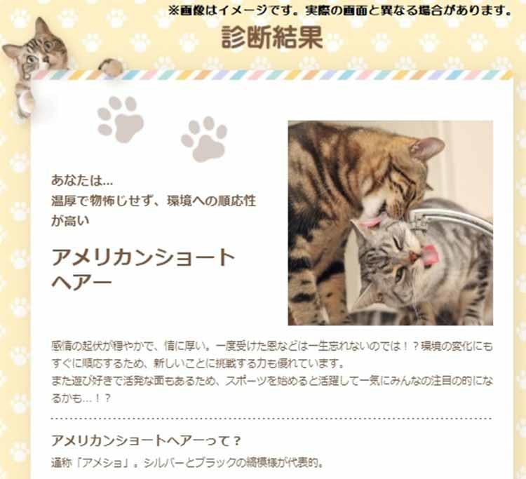 猫好き対談 岩井勇気 俺への 下等生物を見ている目 がいい 中川翔子 岩 テレ東プラス