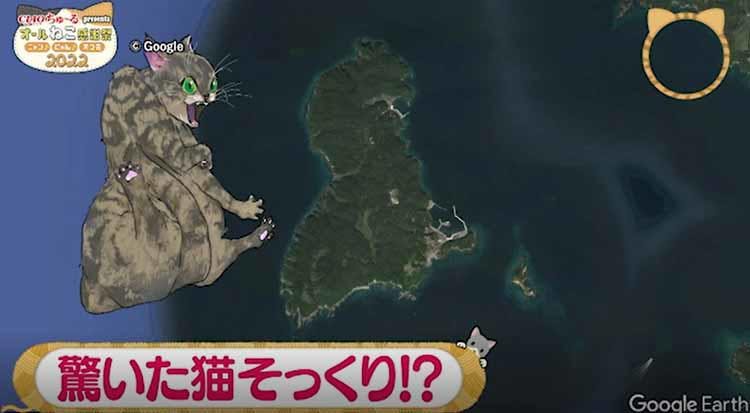 猫の楽園 島民60人 猫は130匹 猫神様 として大事にされる猫たちの生 テレ東プラス