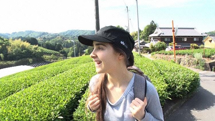 連載dの感謝 アメリカ人女子大生が京都で茶を摘む ニッポン行きたい人応援団 テレ東プラス 連載dの感謝 アメリカ人女子大生が京都で茶を摘む ニッポン行きたい人応援団 テレ東プラス