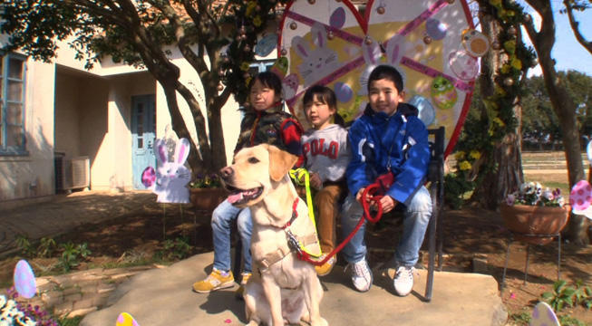 まさはる君が行くの記事一覧 | テレ東・BSテレ東の読んで見て感じる