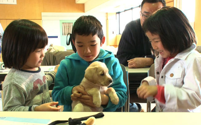 まさはる君が行くの記事一覧 | テレ東・BSテレ東の読んで見て感じる