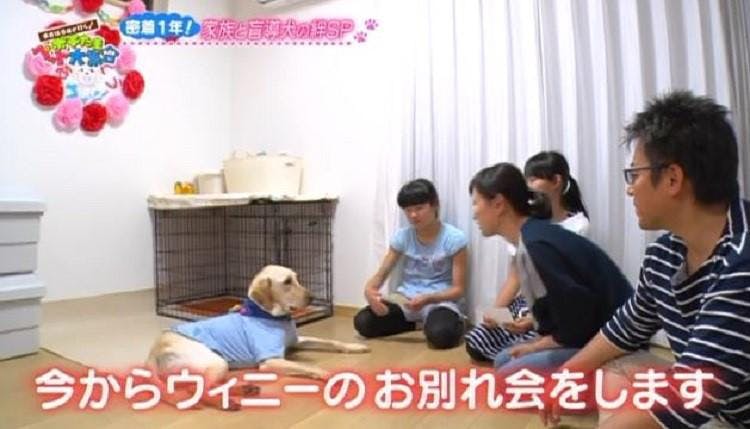 感涙 1年間共に暮らした盲導訓練犬とのお別れの日に完全密着 テレ東プラス 感涙 1年間共に暮らした盲導訓練犬とのお別れの日に完全密着 テレ東プラス