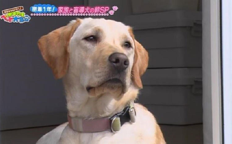 競泳日本代表監督 平井さんとパラリンピックを目指すキャリアチェンジ