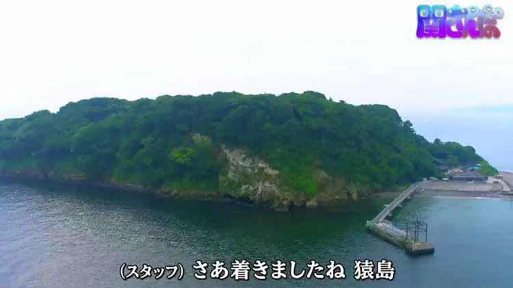 Oa未公開 Mr 都市伝説 関暁夫 若手芸人時代の悔しい思い出 犬より食 テレ東プラス