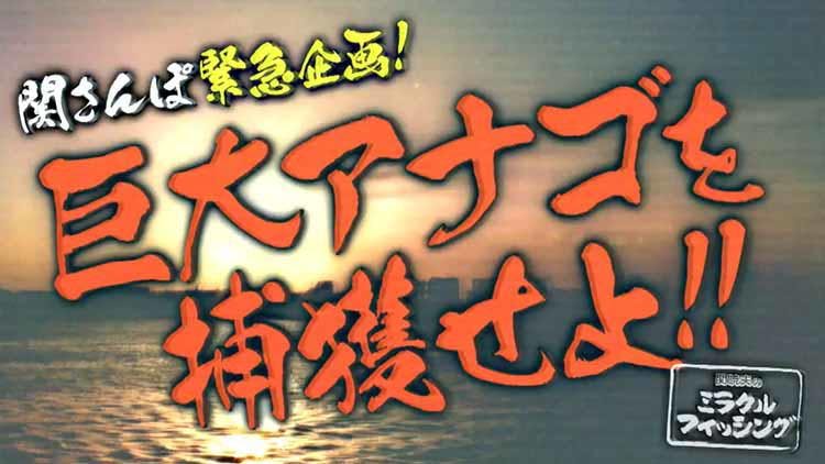 東京湾のアナコンダ Mr 都市伝説 関暁夫が巨大アナゴ捕獲に挑む 関さんぽ テレ東プラス 東京湾のアナコンダ Mr 都市伝説 関暁夫が巨大アナゴ捕獲に挑む 関さんぽ テレ東プラス