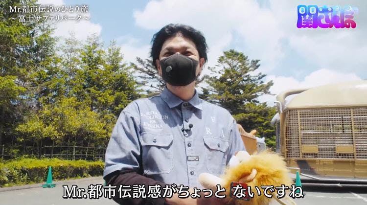 クマの交尾にライオンのケンカ Mr 都市伝説 関暁夫が 富士サファリパ テレ東プラス クマの交尾にライオンのケンカ Mr 都市伝説 関暁夫が 富士サファリパ テレ東プラス