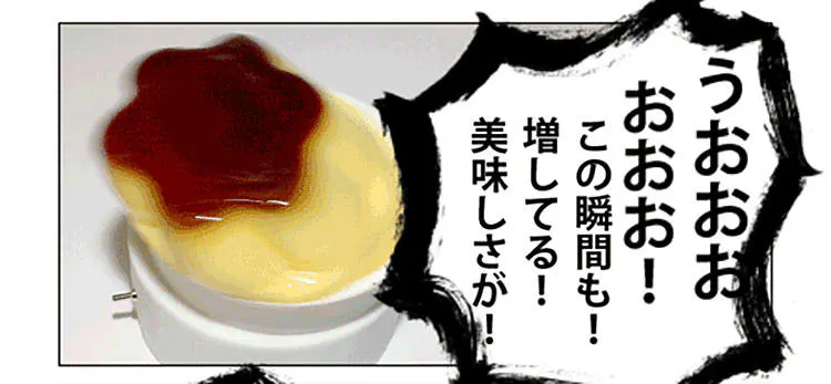 プリンを猛烈にプルプルさせるマシン 漫画家 機構設計師てらおか現象さんの 勝手に作った 珍発明を見ず テレ東プラス