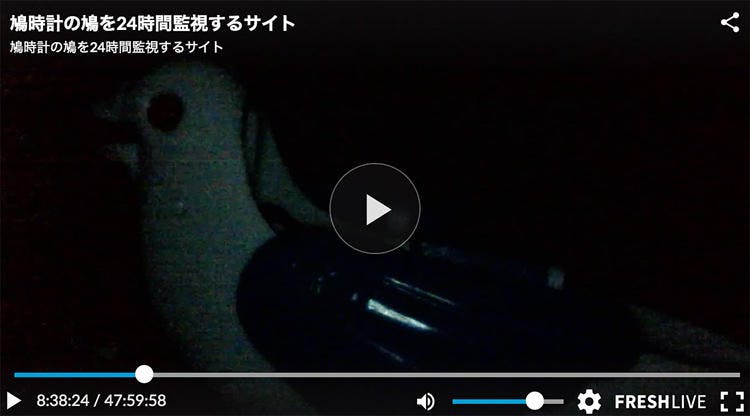 コアラのマーチの絵柄を消すマシン をなんで作るの 漫画家 機構設計師てらおか現象さんが作るワケ テレ東プラス コアラのマーチの絵柄を消すマシン をなんで作るの 漫画家 機構設計師てらおか現象さんが作るワケ テレ東プラス