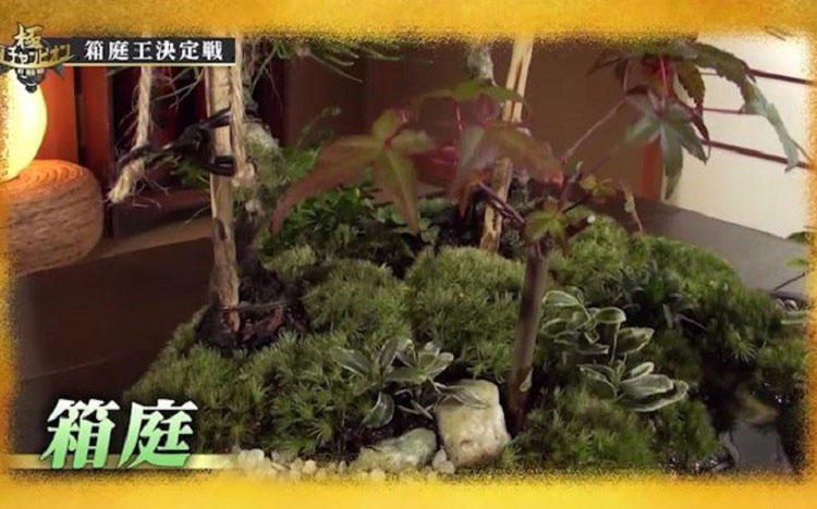 箱庭: 縮景物の世界 The garden kit] Niwabiyori - Tyaniwa. - YouTube