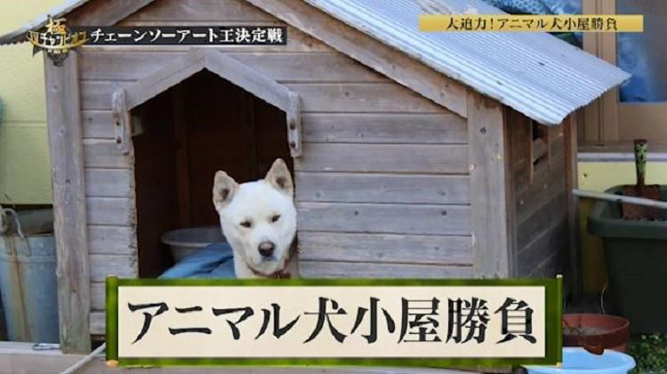 動物と犬小屋が融合した「アニマル犬小屋」で決戦！ ついに
