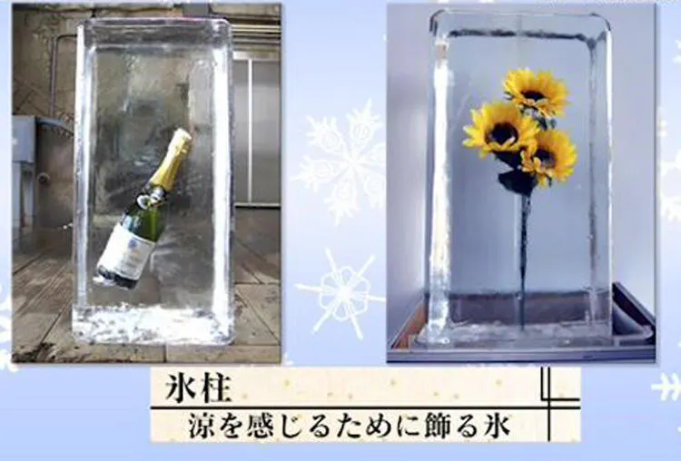 氷点下の熱き戦い 芸術を通り超えた究極の氷彫刻アートで激闘 Tvチャンピオン 極 Kiwami テレ東プラス