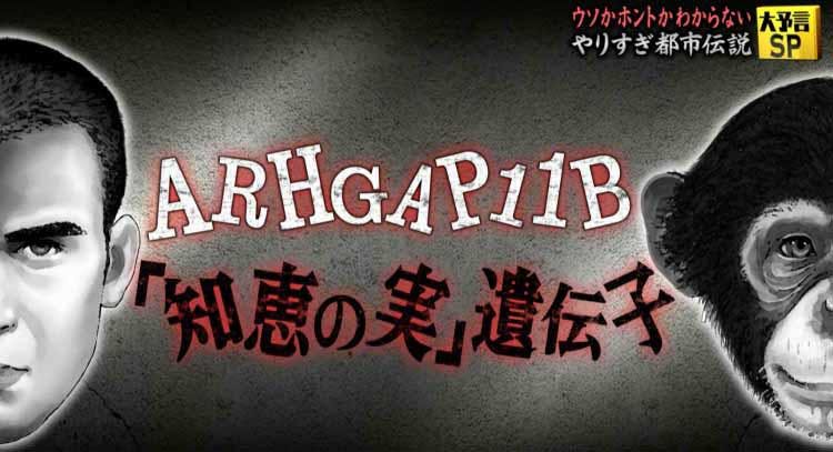 ヒトとサルの遺伝子の違いは1 知恵の実 遺伝子の移植でサルが やりすぎ都市伝説 テレ東プラス