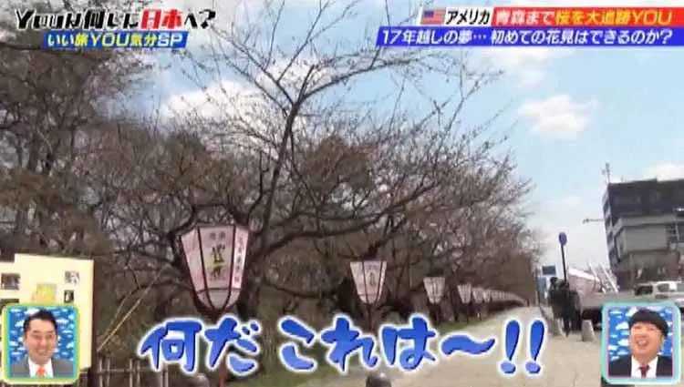 お花見 したい 17年越しの夢を叶えるため来日 みちのくひとり旅の最後に見たものは Youは何 テレ東プラス