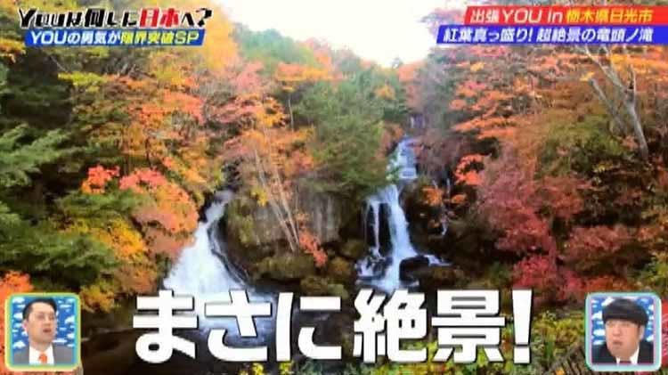 強豪アイスホッケーチームでyouを発見 意外な役割と選手から ビッグ ダディ テレ東プラス 強豪アイスホッケーチームでyouを発見 意外な役割と選手から ビッグ ダディ テレ東プラス