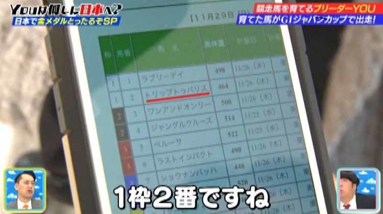 ジャパンカップ Gi で初出走する馬をひと目観たい アイルランドからやってきたyouの正体と結果は テレ東プラス ジャパンカップ Gi で初出走する馬をひと目観たい アイルランドからやってきたyouの正体と結果は テレ東プラス