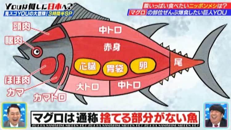 約35万円分のマグロを丸ごとゴチ 希少部位 六大珍味にyouが衝撃の反応 Youは何しに日本へ テレ東プラス 約35万円分のマグロを丸ごとゴチ 希少部位 六大珍味にyouが衝撃の反応 Youは何しに日本へ テレ東プラス