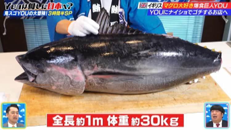 約35万円分のマグロを丸ごとゴチ！希少部位＆六大珍味にYOUが衝撃の