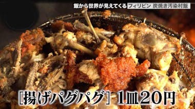 フィリピン　ロリ　炉利　買春 