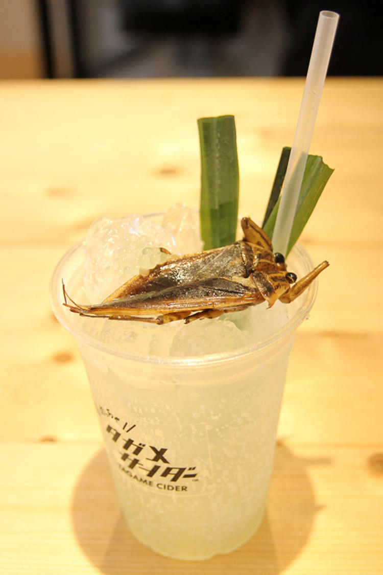 ジャンクジョウロリメ缶　大サイズ タガメはトロピカルな”青りんご海老”味！ 昆虫食ショップ「TAKEO」で